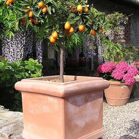Il Poggiolo Delle Rose 2*