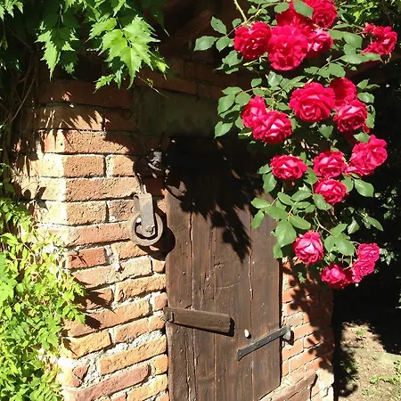 Il Poggiolo Delle Rose Oda ve Kahvaltı